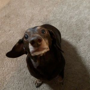 Meet your Posher, Caleb